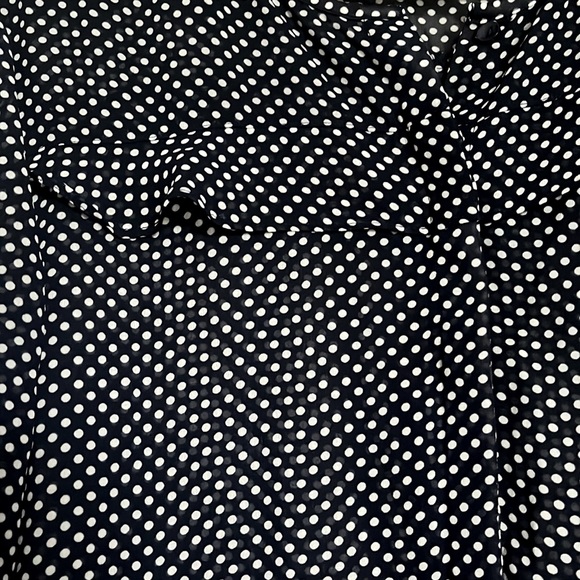 Sheer polka dot button down blouse - Picture 2 of 2